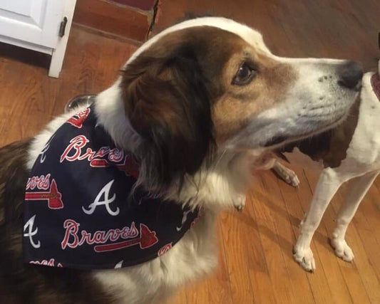 Yankees Custom Sewn Name Large Dog Bandana